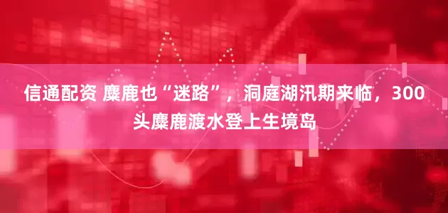 信通配资 麋鹿也“迷路”，洞庭湖汛期来临，300头麋鹿渡水登上生境岛