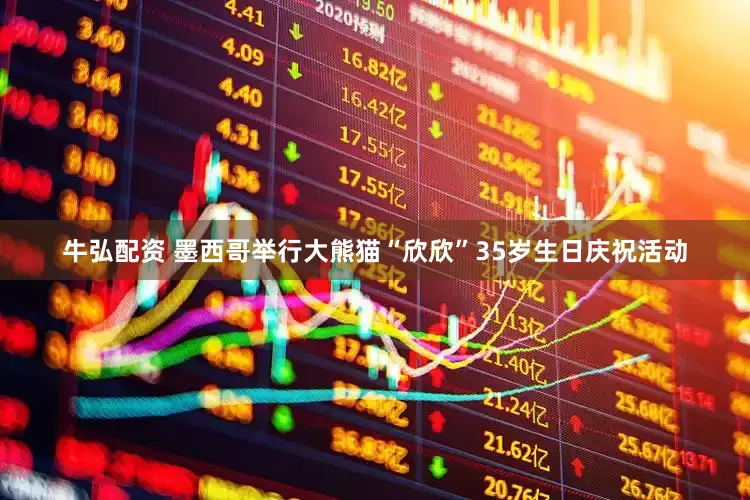 牛弘配资 墨西哥举行大熊猫“欣欣”35岁生日庆祝活动