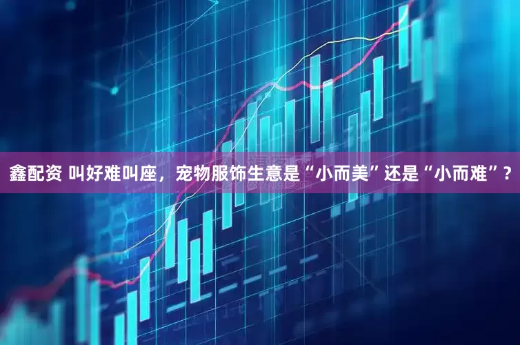 鑫配资 叫好难叫座，宠物服饰生意是“小而美”还是“小而难”？
