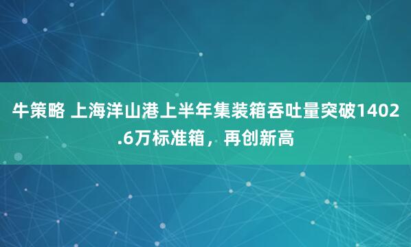 牛策略 上海洋山港上半年集装箱吞吐量突破1402.6万标准箱，再创新高