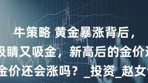 牛策略 黄金暴涨背后，相关ETF吸睛又吸金，新高后的金价还会涨吗？_投资_赵女士_高风险