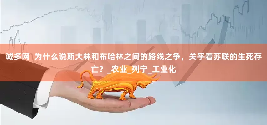 诚多网  为什么说斯大林和布哈林之间的路线之争，关乎着苏联的生死存亡？_农业_列宁_工业化